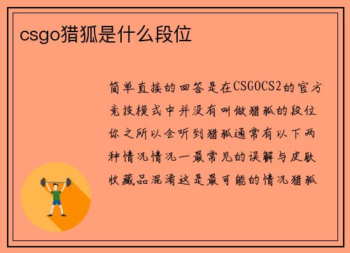 csgo猎狐是什么段位
